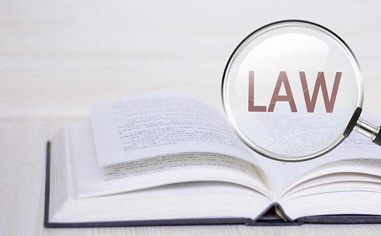 法律法规与政策解读专题